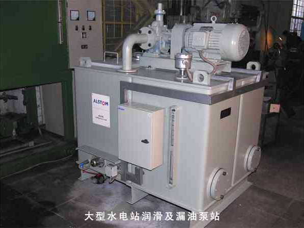 阿尔斯通大型水电站